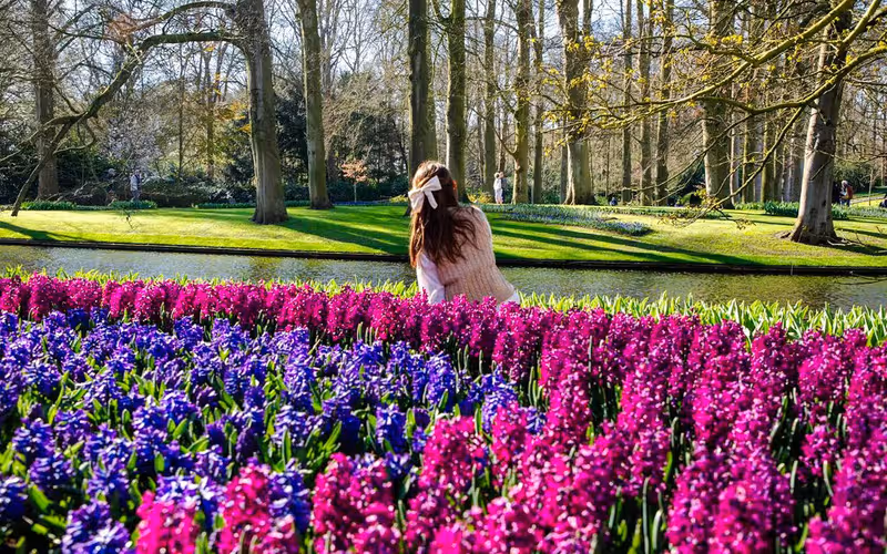 Keukenhof Entry with Transfers from Amsterdam