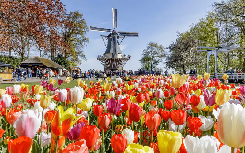 Keukenhof Guided Tour with Transfers from Amsterdam